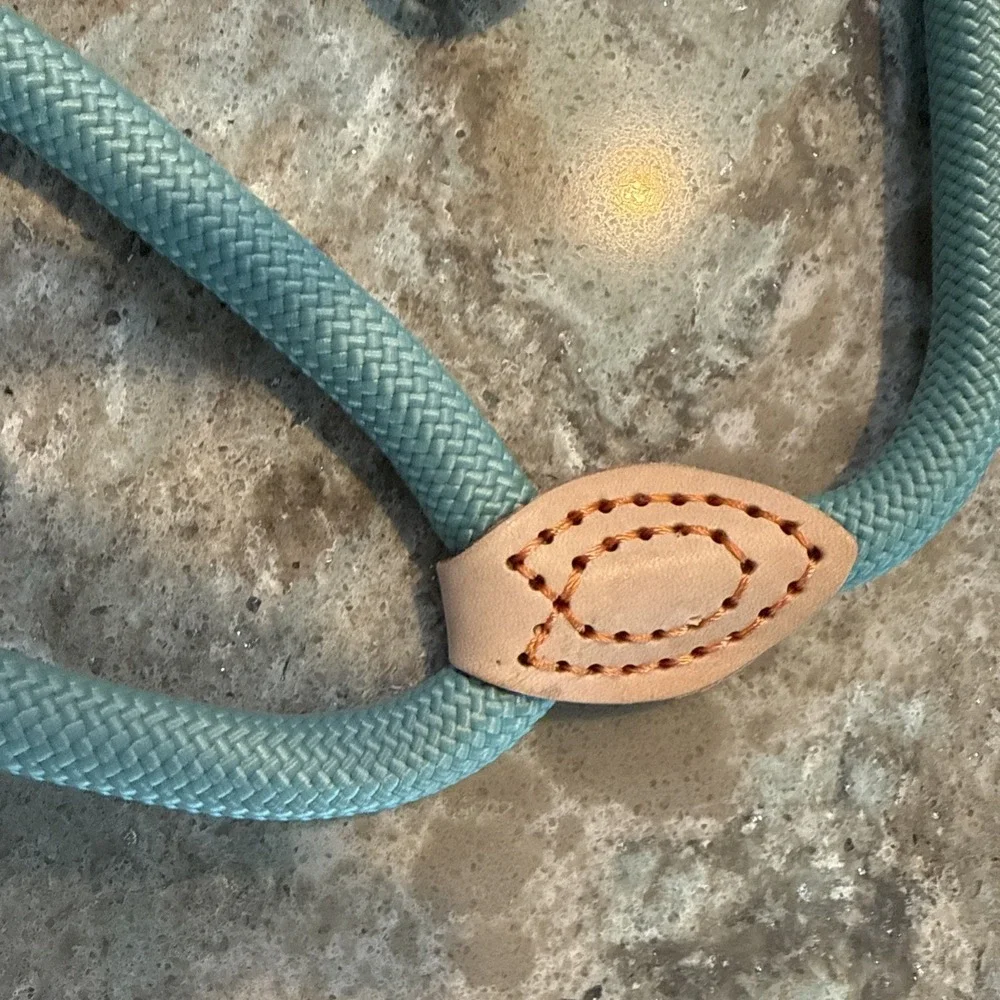 5' Nylon Leather Slip Lead Dog Leash Mint Dog Training Walking Exercise